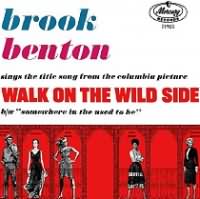 Walk On The Wild Side ----- Brook Benton ----- 
Brook Benton (Benjamin Franklin Peay) war ein R&B Snger mit amerikanischen Wurzeln der von Ende der 50iger bis Anfang der 70iger Jahre einige Number One Hits in den R&B Charts hatte.<br>
"Walk on the Wild Side" ist ein Titel aus dem Jahr 1962 der von vielen Interpreten, darunter waren u.a. auch Lou Reed ,
Ralf Bendix,
Volker Lechtenbrink ,
Marvin Gaye und Nancy Sinatra.<br>
Weitere Songs von Brook Benton waren "Its Just A Matter Of Time" ,
"So Many Ways" ,
"Baby (You've Got What It Takes)" ,
"Kiddio" ,
"The Boll Weevil Song" ,
"Hotel Happiness" und
"Rainy Night In Georgia" !






