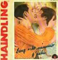 Lang schon nimma gsehn ----- Haindling ----- 
"Lang schon nimma gsehn" aus dem Jahr 1984 ist der in Deutschland erfolgreichste Song der Gruppe Haindling und erreichte immerhin Platz 33 in den deutschen Charts.<br>
Weitere bekannte Titel sind z.B. "Spinn i" und "Du Depp".<br>
